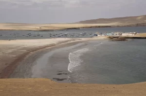 Lima: travesía en el mar y en el desierto costero