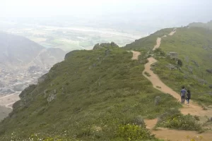 Lomas de Lima: los oasis del desierto costero