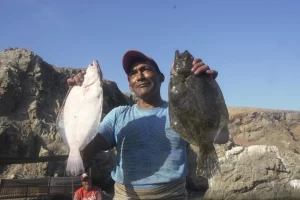 Lima: explorando la gastronomía marina